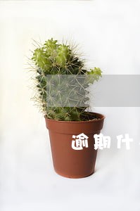 逾期什么口子能带下来钱 逾期什么口子能带下来钱