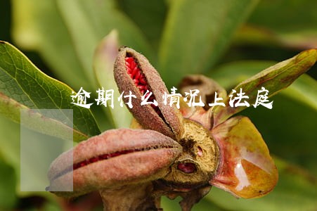 逾期什么情况上法庭 逾期什么情况上法庭