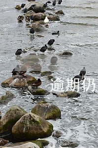 逾期仍不办理的公司将免除优惠