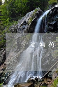 逾期仍不缴纳的由有关行