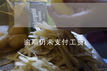 逾期仍未支付工资 逾期仍未支付工资