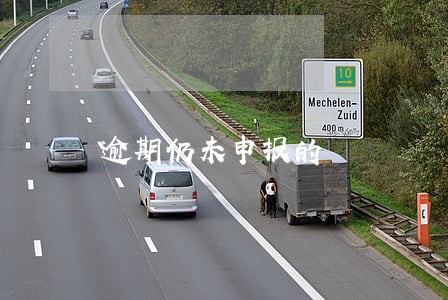 逾期仍未申报的