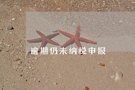 逾期仍未纳税申报