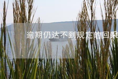 逾期仍达不到规定的回采