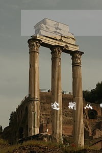 逾期从哪里查询