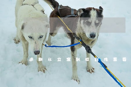 逾期从立案到收到传票要多久
