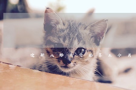 逾期从那天开始算三个月