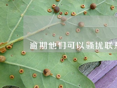 逾期他们可以骚扰联系人吗