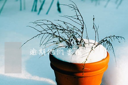 逾期他们要报警