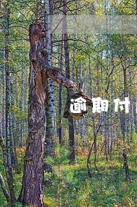 逾期付尾款违约金怎么计算 逾期付尾款违约金怎么计算