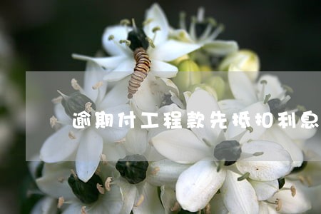 逾期付工程款先抵扣利息