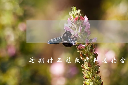 逾期付工程款咋判违约金 逾期付工程款咋判违约金