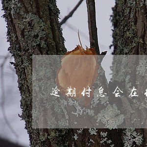 逾期付息会在征信报告体现吗 逾期付息会在征信报告体现吗