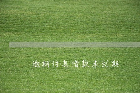 逾期付息借款未到期 逾期付息借款未到期