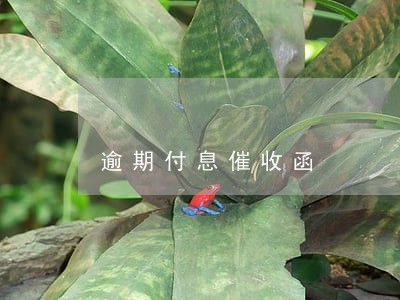 逾期付息催收函 逾期付息催收函