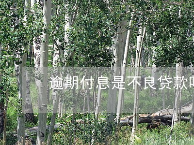 逾期付息是不良贷款吗 逾期付息是不良贷款吗