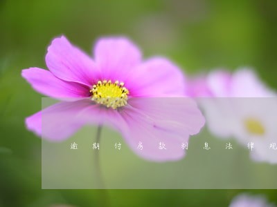 逾期付房款利息法律规定 逾期付房款利息法律规定