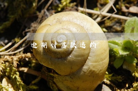 逾期付房款违约 逾期付房款违约