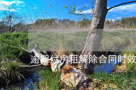 逾期付房租解除合同时效