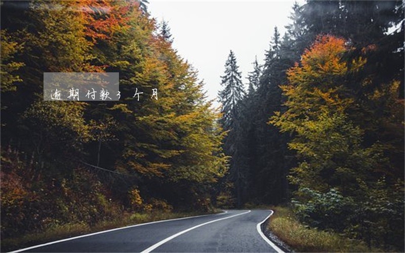 逾期付款3个月 逾期付款3个月