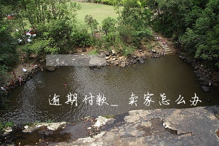 逾期付款_卖家怎么办 逾期付款_卖家怎么办