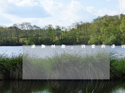 逾期付款_约定的违约金 逾期付款_约定的违约金