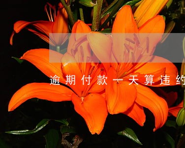 逾期付款一天算违约吗 逾期付款一天算违约吗