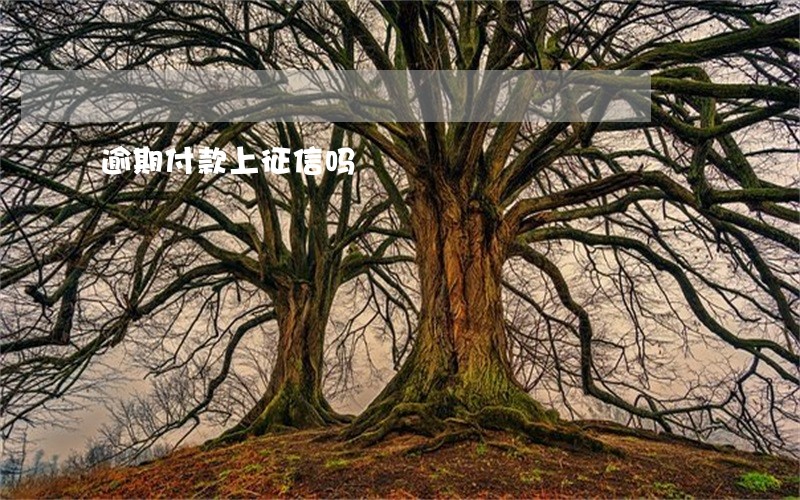 逾期付款上征信吗 逾期付款上征信吗