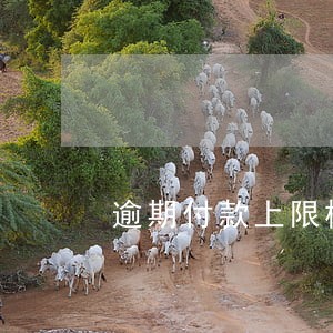逾期付款上限标准 逾期付款上限标准