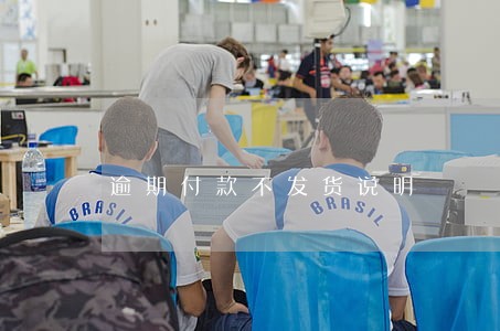 逾期付款不发货说明