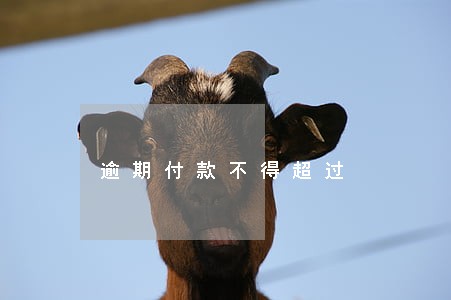 逾期付款不得超过 逾期付款不得超过