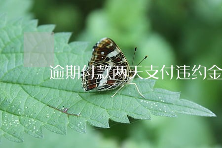 逾期付款两天支付违约金 逾期付款两天支付违约金