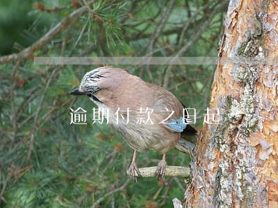 逾期付款之日起