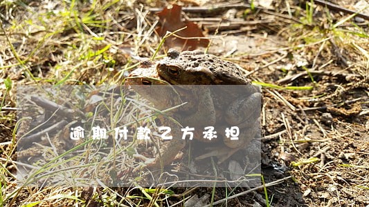 逾期付款乙方承担 逾期付款乙方承担