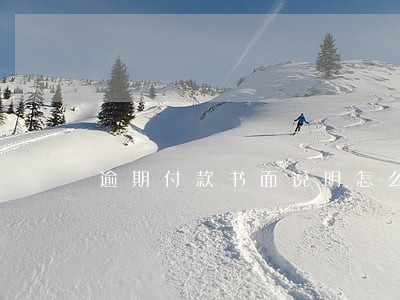 逾期付款书面说明怎么写 逾期付款书面说明怎么写
