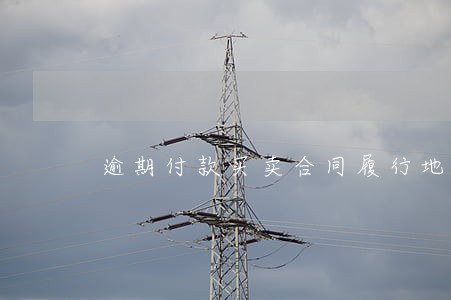 逾期付款买卖合同履行地 逾期付款买卖合同履行地