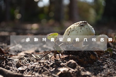 逾期付款买房有几份合同