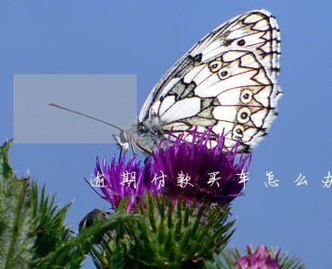 逾期付款买车怎么办