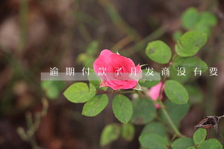 逾期付款了开发商没有要我违约金