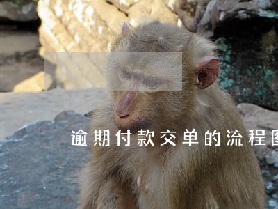 逾期付款交单的流程图 逾期付款交单的流程图