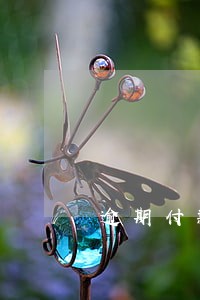 逾期付款产生的利息应如何入账 逾期付款产生的利息应如何入账