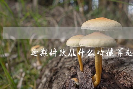 逾期付款从什么时候算起 逾期付款从什么时候算起