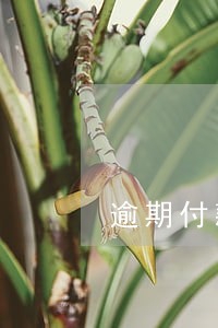 逾期付款代签收什么意思