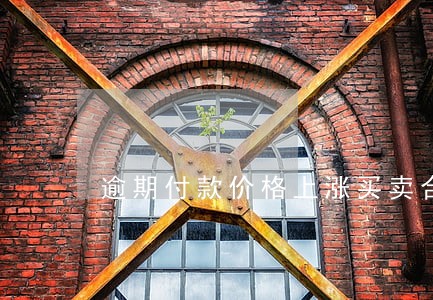 逾期付款价格上涨买卖合同判例 逾期付款价格上涨买卖合同判例