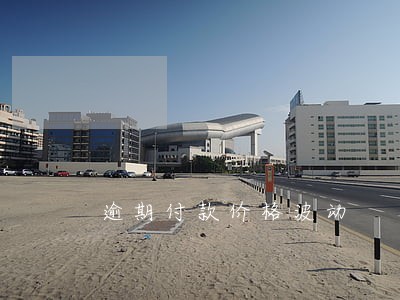 逾期付款价格波动 逾期付款价格波动