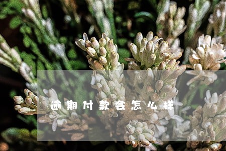逾期付款会怎么样 逾期付款会怎么样