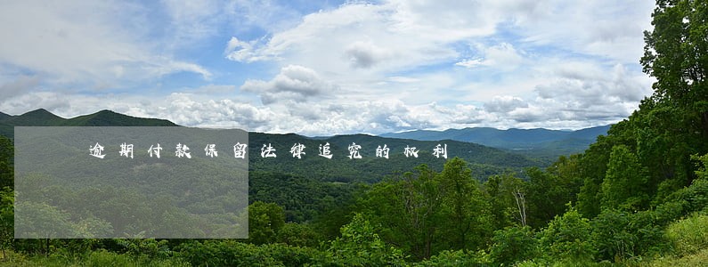 逾期付款保留法律追究的权利 逾期付款保留法律追究的权利