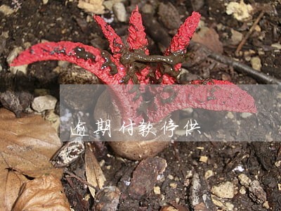 逾期付款停供 逾期付款停供
