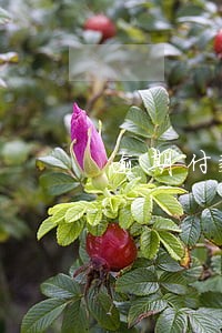 逾期付款停用服务说明 逾期付款停用服务说明