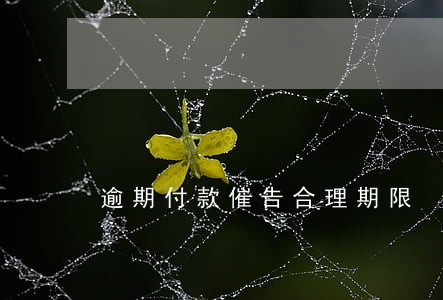 逾期付款催告合理期限